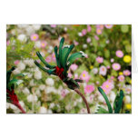 GREETING CARD - Kangaroo Paw cards