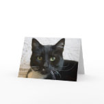 Greeting Card: Lilly