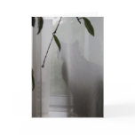 Greeting Card: Lilly Looking Cat