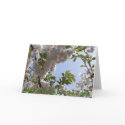 Greeting Card - Najpiekniejsza Wiosna Zycia by ahandzlik Greeting Card - Najpiekniejsza Wiosna Zycia