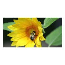 Greeting card photo card template