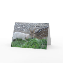 Greeting Card; Puppy and Bambi