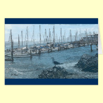 Greeting Card-Seagull Keeping Watch cards