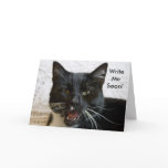 Greeting Card:  Write Soon Cat
