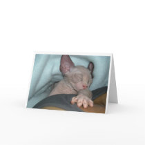 Greeting cards