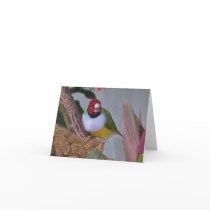 Greeting cards