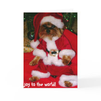 Greeting Cards