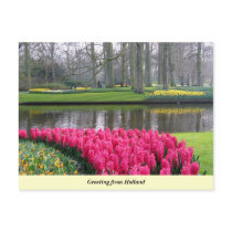 Greeting from Holland postcards