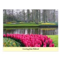 Greeting from Holland Postcard