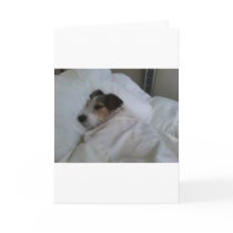 Greeting or Note Card