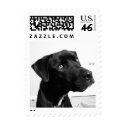 Greeting postage by iiiyaaa Greeting postage