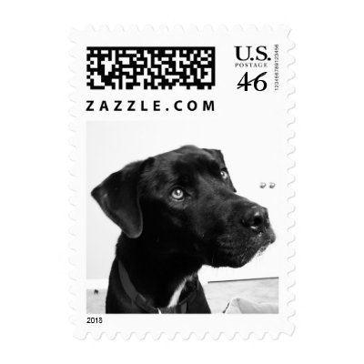Greeting Postage Stamps by iiiyaaa