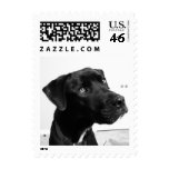 Greeting postage