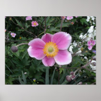 Greeting Posters