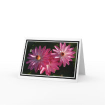 GreetingCard-Pink water lilies