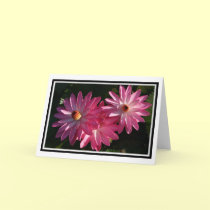 GreetingCard-Pink water lilies