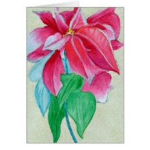 greetingcardpoinsettia