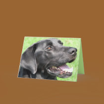 Greetings cards by iiiyaaa Greetings cards