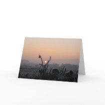 Greetings Card/Frosted Field near Denholm, Hawick by Bourach Greetings Card/Frosted Field near Denholm, Hawick