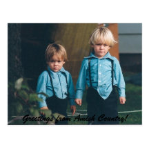 Greetings From Amish Country Postcard