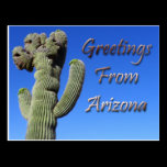 Greetings From Arizona postcards