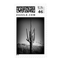Greetings from Arizona Postage Stamp