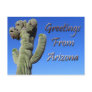 Greetings From Arizona Post Card