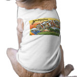 Greetings from Augusta, GA! Pet Clothes