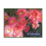 Greetings from Australia Postcards