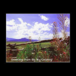 Greetings From Big Sky Co... postcards