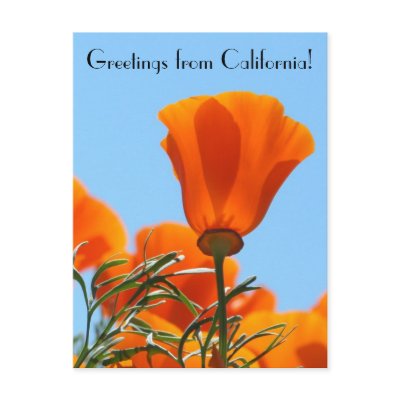 Greetings from California! Postcards by kimboj1