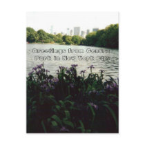 Greetings from Central Park in New York City postcards