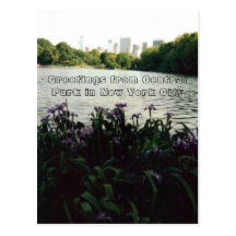 Greetings from Central Park in New York City Postcards