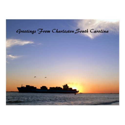 Greetings From Charleston South Carolina Customiza Post Card