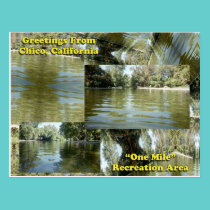 Greetings from Chico, California postcards