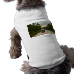 Greetings from Clay City, Michigan Pet T Shirt