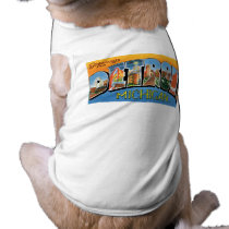 Greetings from Detroit! Pet T Shirt