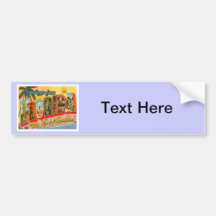Greetings From Florida Bumper Sticker