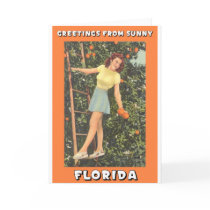 Greetings From Florida cards by Stevehall Greetings From Florida cards