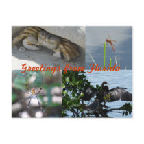 Greetings from Florida greeting map postcard