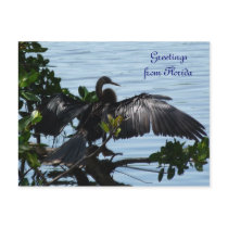 Greetings from Florida greeting map postcard