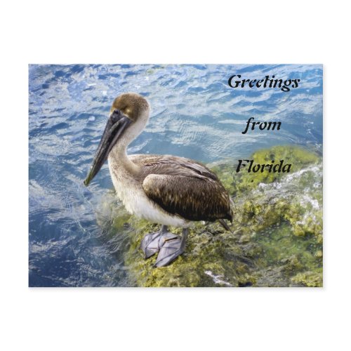 Greetings from Florida postcard
