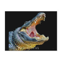 Greetings from Florida postcards by pixelgirl Greetings from Florida postcards