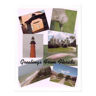 Greetings From Florida Postcard