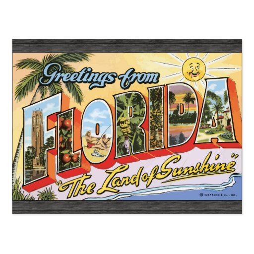 Greetings From Florida "The Land Of Sunshine", Vin Post Card
