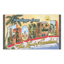 Greetings From Florida "The Land Of Sunshine", Vin Stickers