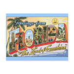 Greetings from Florida - Vintage Travel Post Card