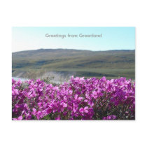 Greetings from Greenland 10 postcards