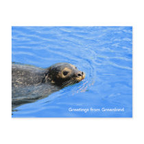 Greetings from Greenland 19 postcards