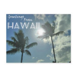 Greetings From Hawaii - Palm Trees Postcard